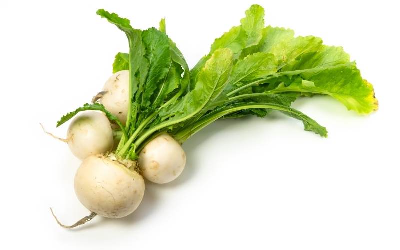 Củ cải turnip chứa nhiều chất xơ, đặc biệt là chất xơ hòa tan. (Ảnh: Sưu tầm Internet)