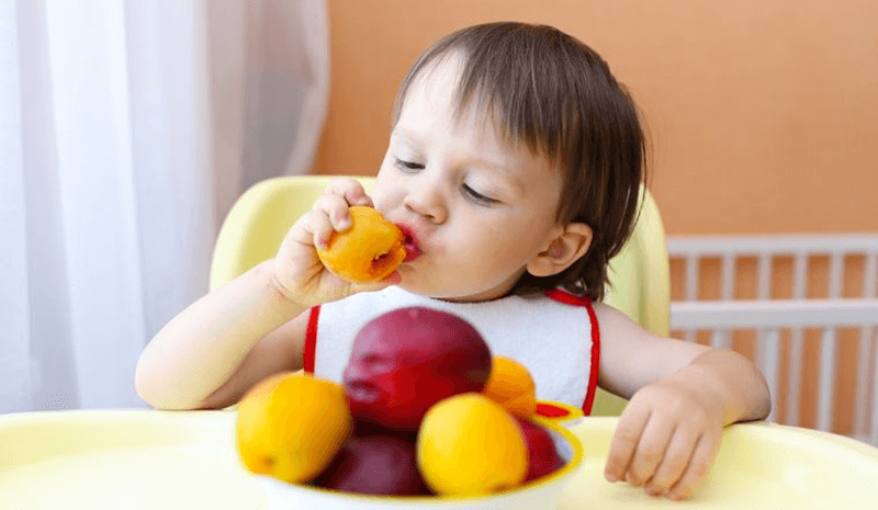 Cung cấp chế độ dinh dưỡng tốt nhất. (Ảnh: Sưu tầm Internet)