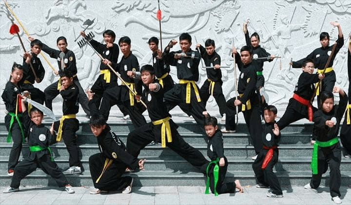 Trung tâm huấn luyện võ thuật Quốc tế Việt Võ Đạo. (Ảnh: Sưu tầm Internet)