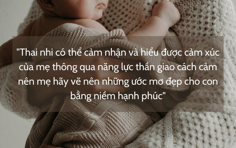 Trích đoạn trong sách. (Ảnh: Sưu tầm Internet)