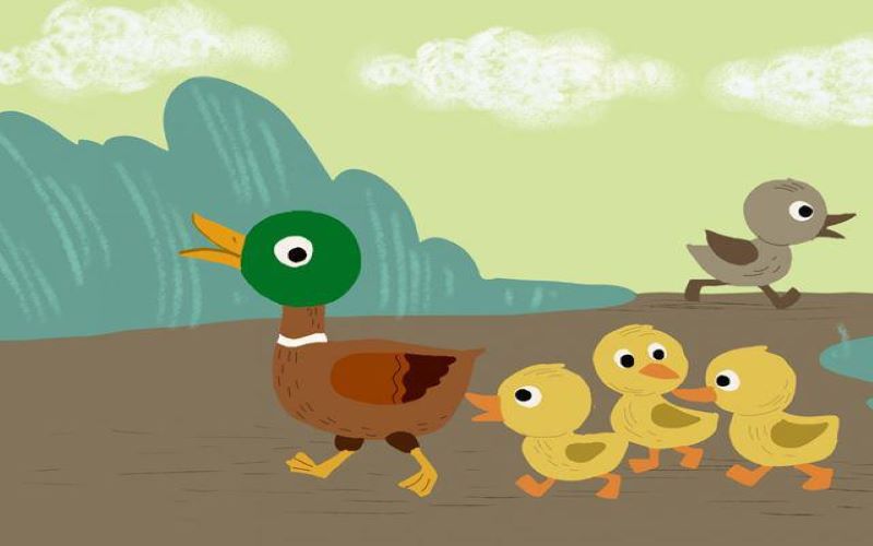 Truyện thai giáo tháng thứ 8: VỊT XÁM KHÔNG NGHE LỜI MẸ. (Ảnh: Sưu tầm Internet)