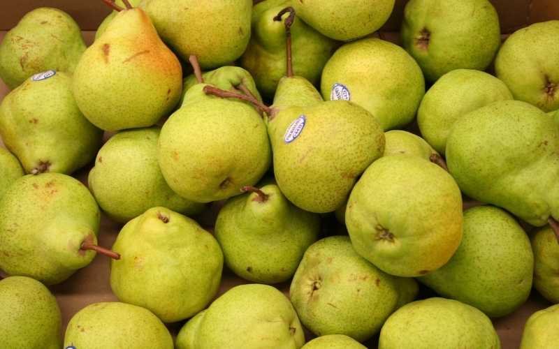 Quả lê chứa nhiều chất xơ và rất thơm ngon. (Ảnh: Sưu tầm Internet)