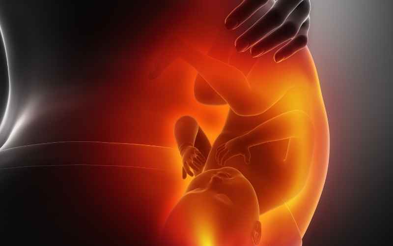 Mẹ bầu cần lưu ý khi thai nhi thay đổi vị trí. (Ảnh: Sưu tầm Internet)