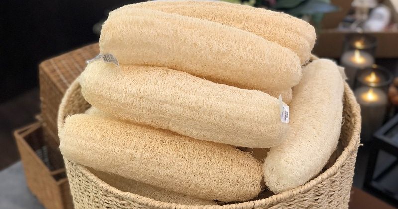 Dùng xơ mướp nấu nước uống mỗi ngày cũng có thể chữa tắc sữa cho các mẹ bỉm (Ảnh: Sưu tầm Internet)