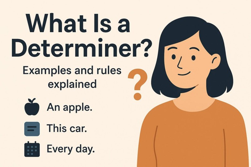 Determiners are words such as 'the,' 'an,' 'this,' 'some,' 'either,' 'my,' or 'whose (Image: Collected from the Internet)