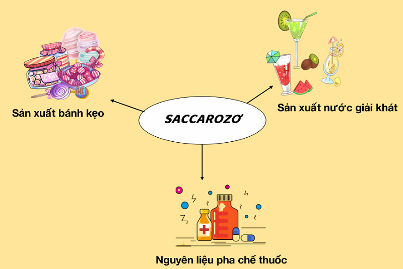 Ứng Dụng của Saccarozơ: Khám Phá Những Tiềm Năng Đáng Kinh Ngạc