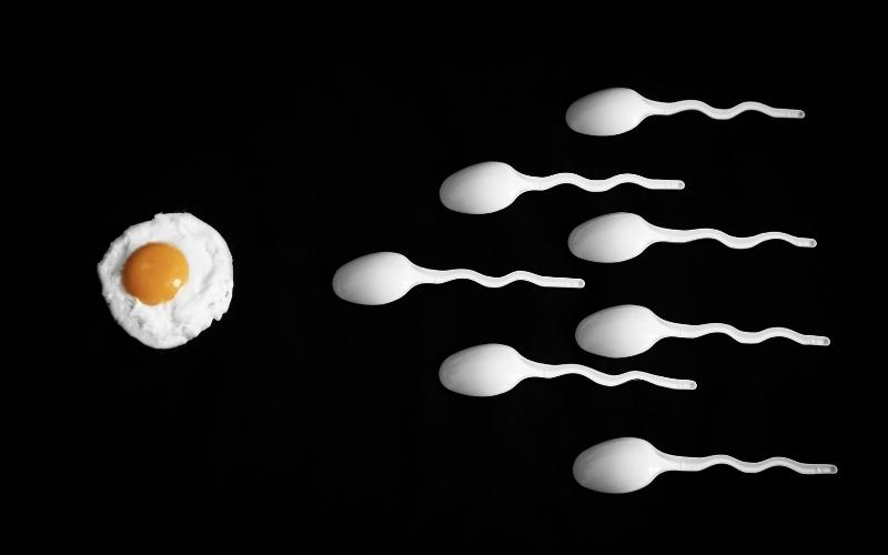 Mất 1 bên tinh hoàn vẫn thụ tinh bình thường. (Ảnh: Sưu tầm Internet)