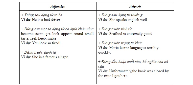 Sự khác biệt giữa tính từ và trạng từ trong tiếng Anh. (Ảnh: Sưu tầm internet)