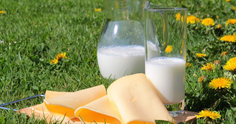 Sữa và thực phẩm từ sữa tốt cho người bị mất ngủ (Ảnh: Sưu tầm Internet)