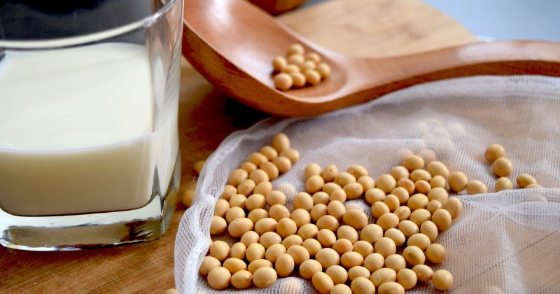 Đậu nành giúp tăng cường estrogen trong cơ thể mẹ (Ảnh: Sưu tầm Internet)