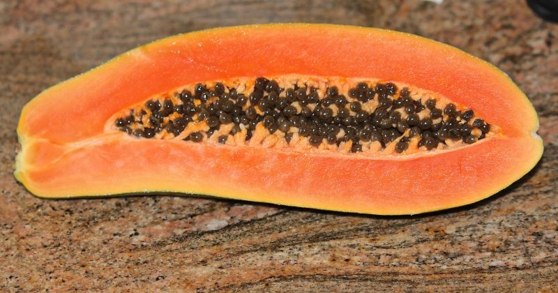 Đu đủ là loại trái cây có tính nhuận tràng, tốt cho hệ tiêu hóa (Ảnh: Sưu tầm Internet)