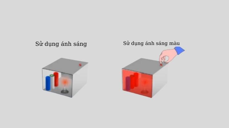 Thí nghiệm cho thấy khả năng tán xạ ánh sáng màu của vật. (Ảnh: Sưu tầm Internet)