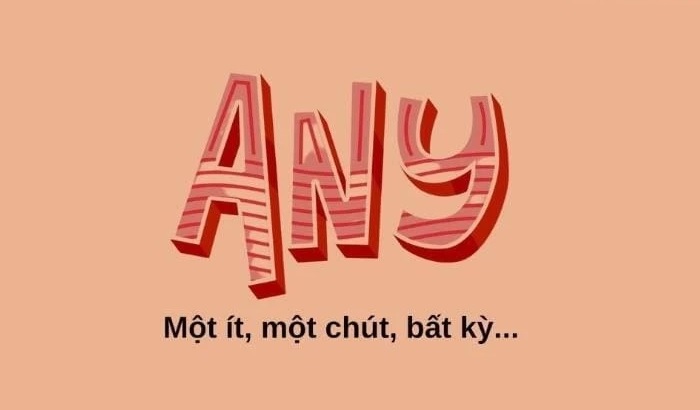 Tuỳ vào một số câu phủ định có thể sử dụng any. (Ảnh: Sưu tầm internet)