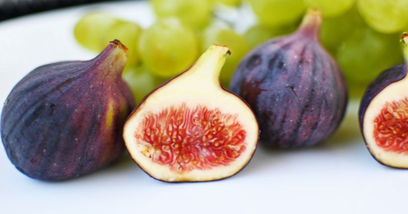 Ăn quả sung sau sinh giúp mẹ trị táo bón hiệu quả (Ảnh: Sưu tầm Internet)