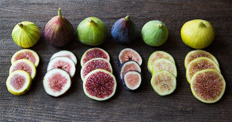 Bà đẻ ăn sung trong giai đoạn sau sinh rất tốt (Ảnh: Sưu tầm Internet)