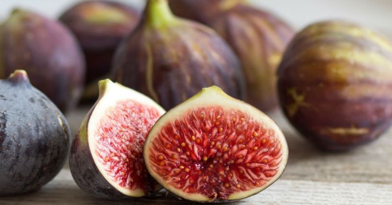 Hàm lượng dinh dưỡng trong quả sung Mỹ rất tốt cho sức khỏe (Ảnh: Sưu tầm Internet)