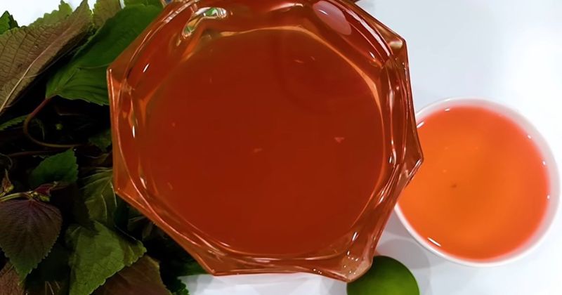 Một số lưu ý khi uống nước lá tía tô sau khi sinh (Ảnh: Sưu tầm Internet)