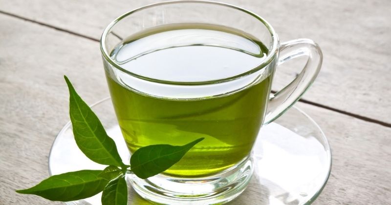 Uống nước lá mít giúp lợi sữa, kích thích tuyến sữa hoạt động tốt hơn (Ảnh: Sưu tầm Internet)