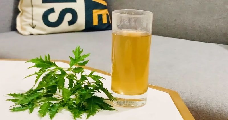 Bà đẻ uống nước gì tốt? - Nước lá đinh lăng (Ảnh: Sưu tầm Internet)