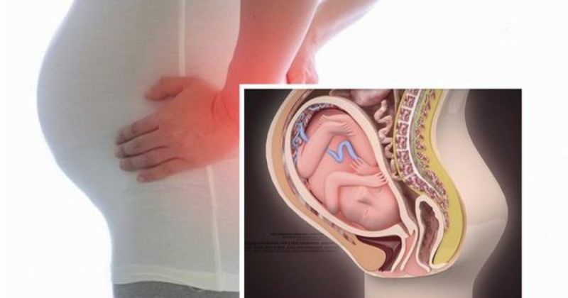 Khớp mu bị giãn trong quá trình mang thai gây ảnh hưởng đến xương chậu (Ảnh: Sưu tầm Internet)