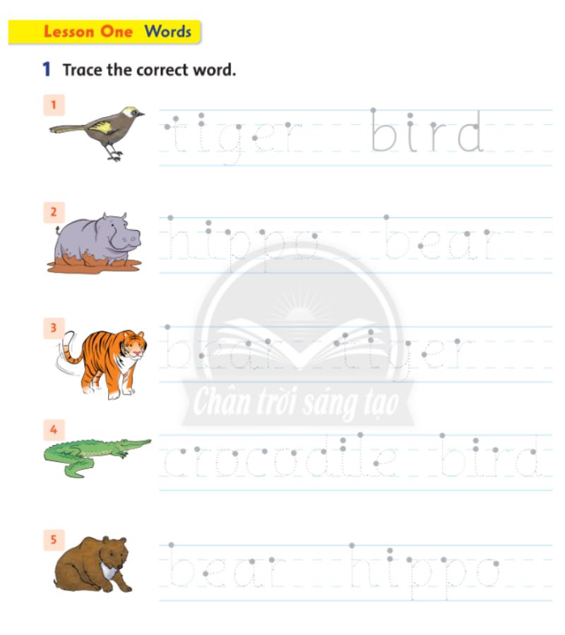 Trace the correct word - Lesson 1. (Ảnh: Chụp màn hình SGK)