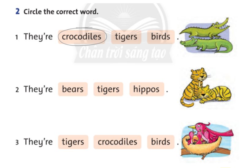 Circle the correct word - Lesson 2. (Ảnh: Chụp màn hình SGK)
