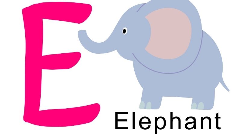 Những từ vựng tiếng Anh lớp 3 cần nhớ. (Ảnh: Shutterstock.com)