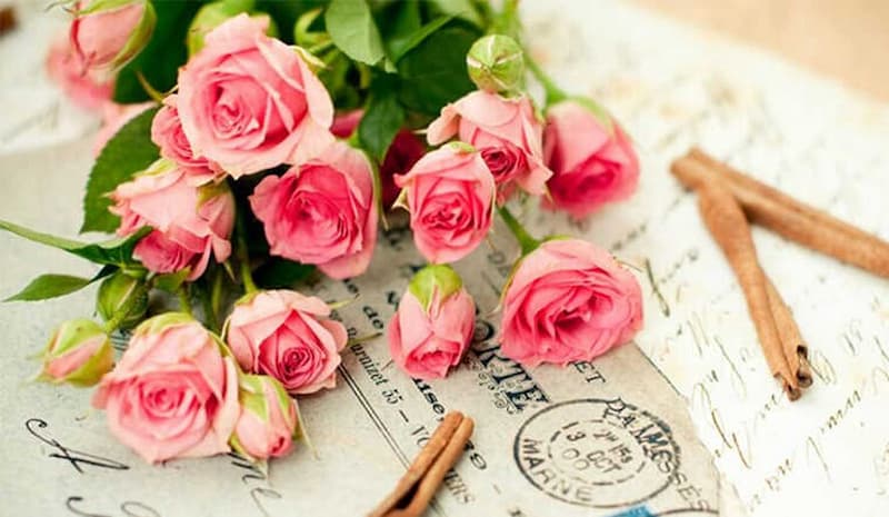 Bài viết về ngày Nhà giáo số 6. (Ảnh: Internet)