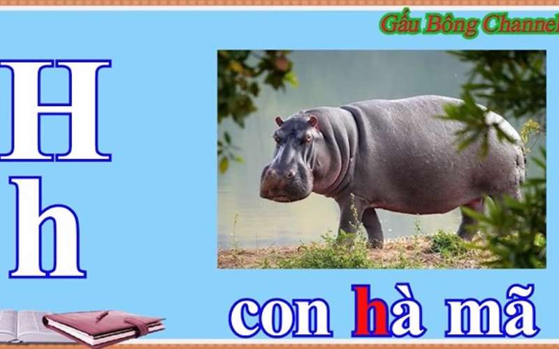 Video dạy bảng chữ cái tiếng Việt cho bé. (Ảnh: Sưu tầm Internet)