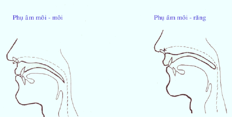 Khi phát âm cần chú ý đến vị trí đặt lưỡi, khuôn miệng, răng, môi. (Ảnh: Vndoc)