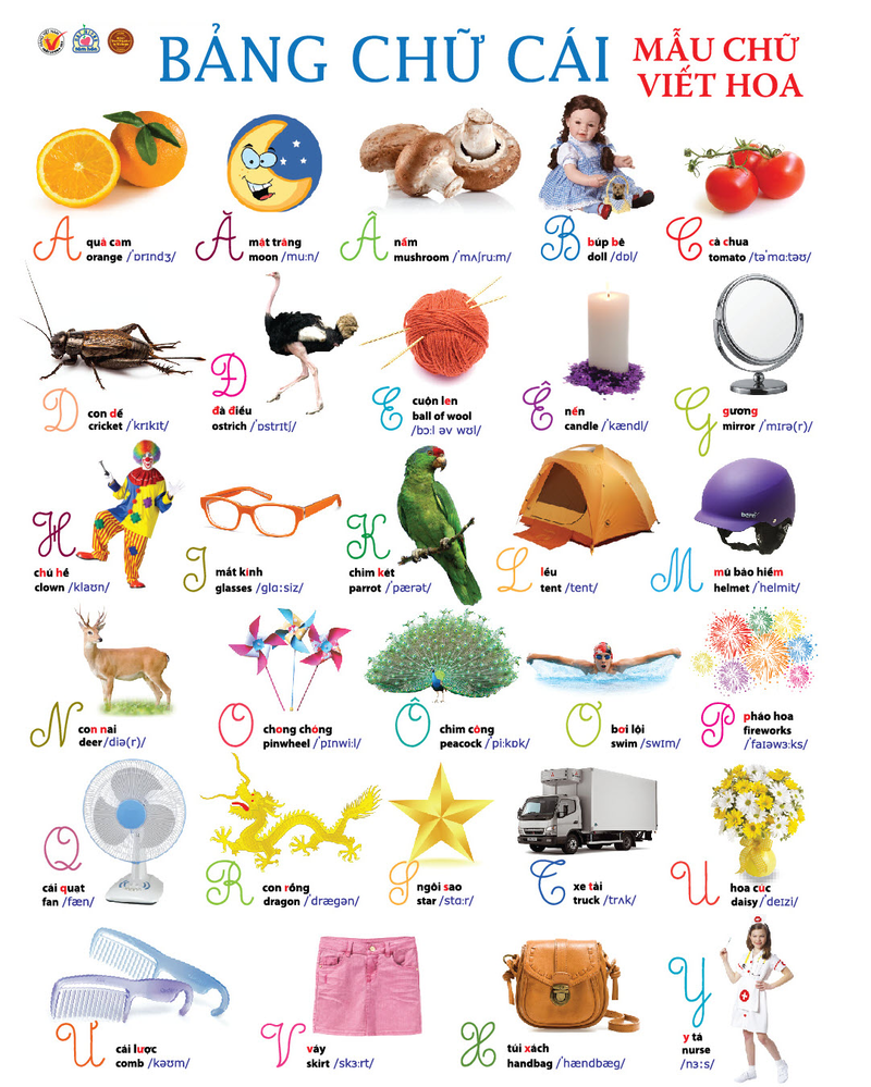 Bảng chữ cái tiếng Việt với nhiều chủ đề phong phú (Ảnh: mobitool.net) 