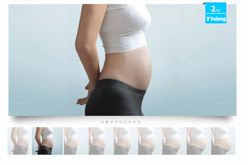 Tầm quan trọng của quan hệ tình dục khi có bầu 2 tháng. (Ảnh: Internet)