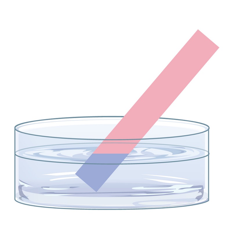 Bazơ làm đổi màu quỳ tím thành xanh. (Ảnh: Sưu tầm Internet)