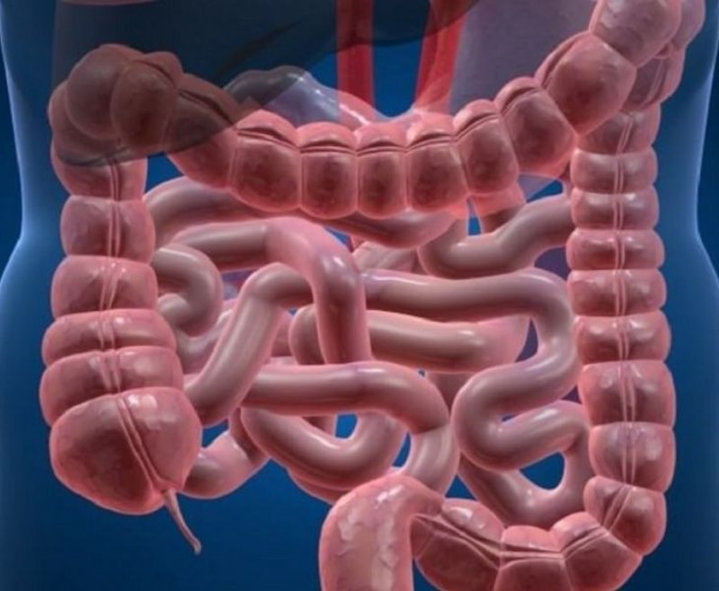 Ăn dặm đi ngoài có mùa chua ảnh hưởng như thế nào?. (Ảnh: Sưu tầm Internet)