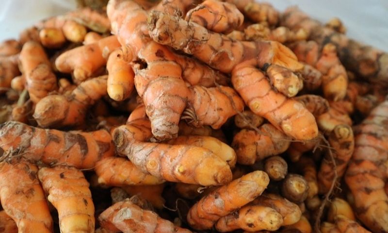 Nghệ có tác dụng chữa sẹo bỏng rất tốt. (Ảnh: Sưu tầm Internet)