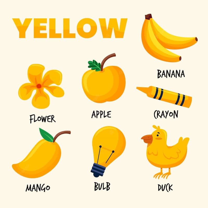 Học từ vựng và ứng dụng màu sắc tiếng Anh. (Ảnh: Internet)