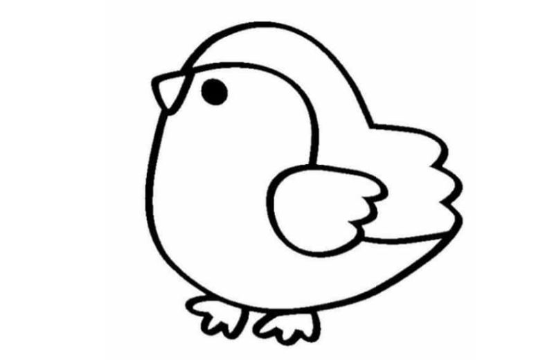 Tô màu chú gà con. (Ảnh: Sưu tầm Internet)