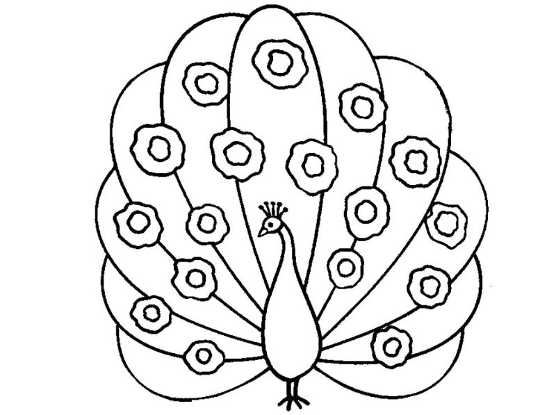 bé tập tô màu con công. (Ảnh: Sưu tầm Internet)