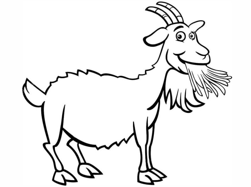 Hướng dẫn bé tô màu con vật. (Ảnh: Sưu tầm Internet)