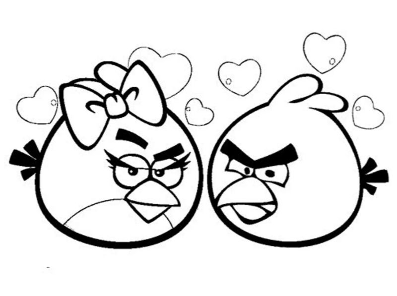 Chú chim Angry bird. (Ảnh: Sưu tầm Internet)
