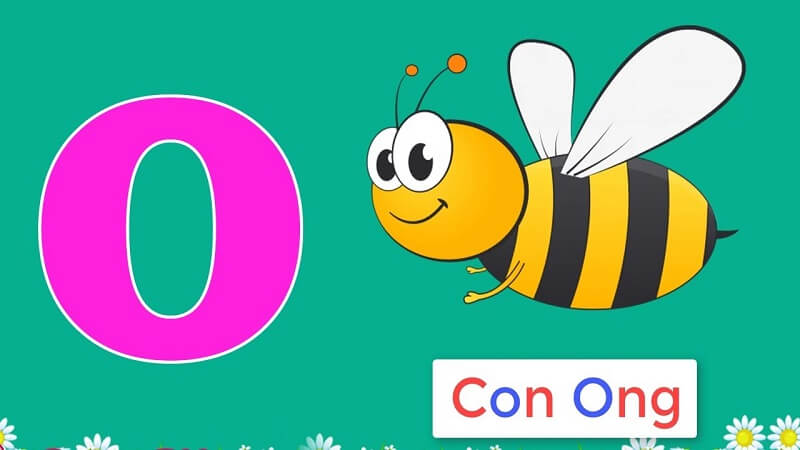 Lấy ví dụ liên quan tới thực tiễn có chữ o để bé dễ hiểu. (Ảnh: Sưu tầm internet)