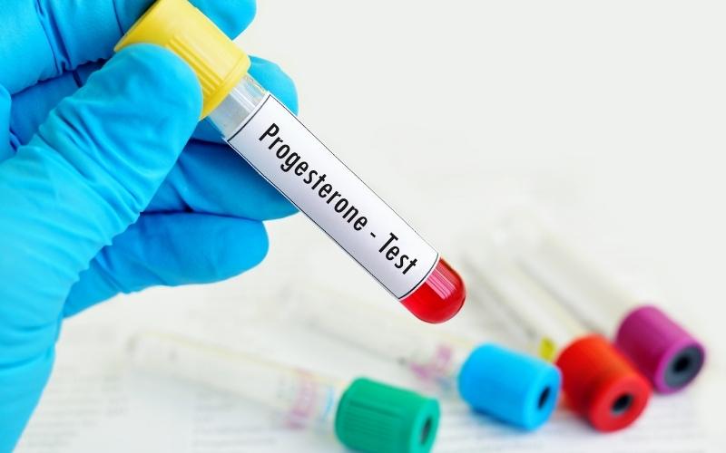 Bổ sung đủ hormone progesterone cho cơ thể. (Ảnh: Sưu tầm Internet)