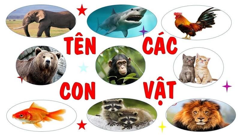 Dạy tiếng Việt cho bé thông qua các con vật là bài học hiệu quả. (Ảnh: Sưu tầm internet)