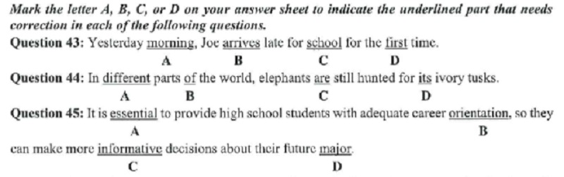 Ví dụ dạng bài tìm lỗi sai trong đề thi môn tiếng Anh THPT. (Ảnh: Sưu tầm internet)