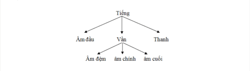 Cấu tạo của tiếng trong tiếng Việt. (Ảnh: tiengvietonline.com)