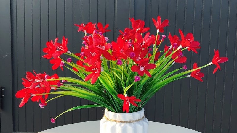 Hoa thủy tiên đỏ. (Ảnh: Sưu tầm Internet)