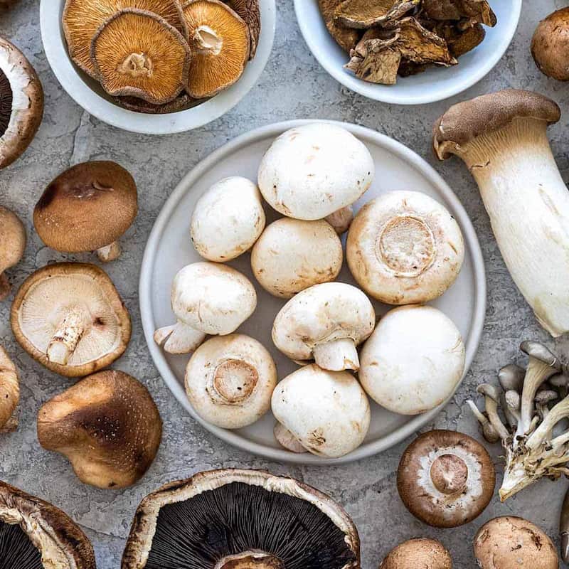 Rất nhiều loại nấm giàu protein có thể bạn chưa biết. (Ảnh: Sưu tầm Internet)