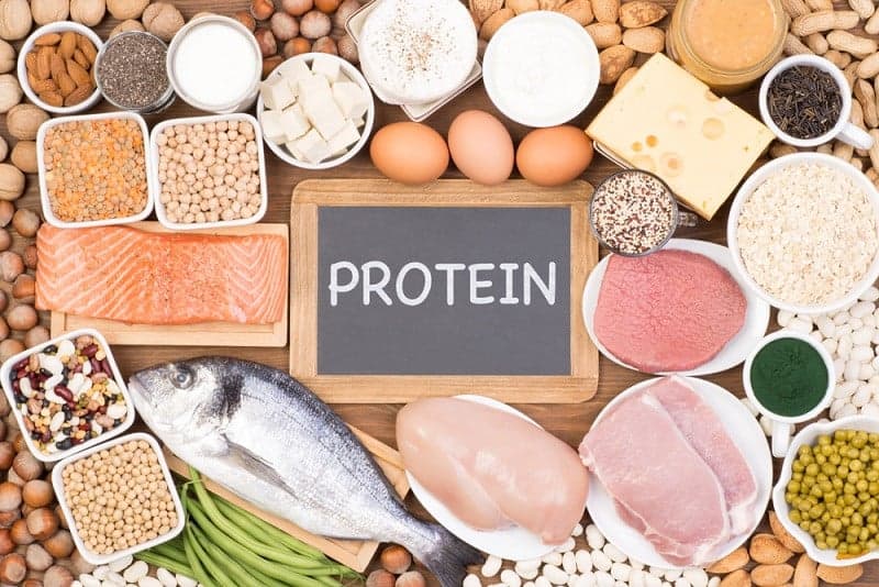 Nhòm chất dinh dưỡng protein. (Ảnh: Sưu tầm Internet)