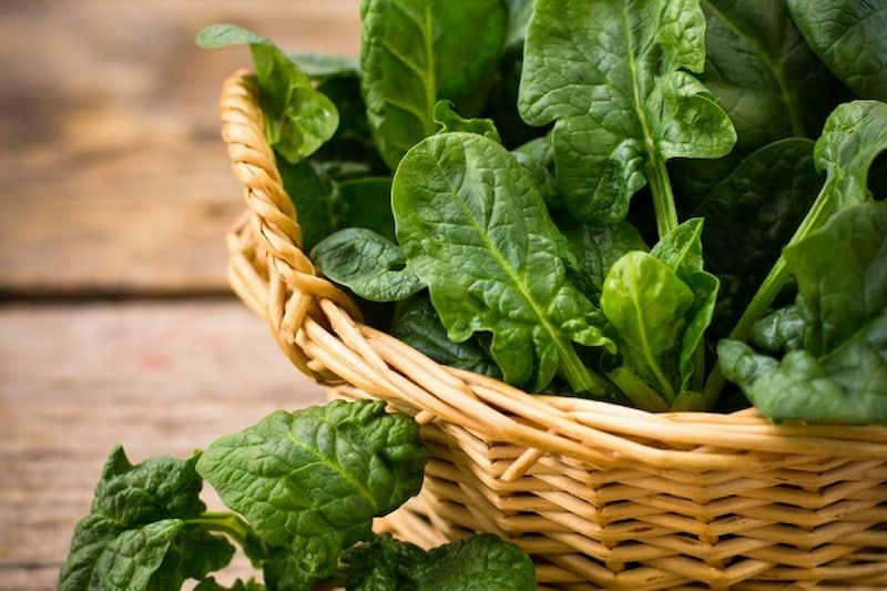 100g rau bina chứa khoảng 2,7mg sắt, tương ứng với 15% nhu cầu cơ thể.  (Ảnh: Sưu tầm Internet)