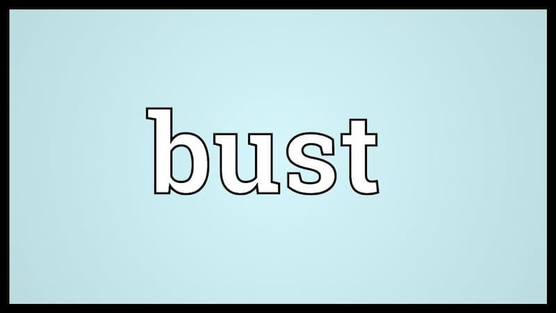 Các dạng của động từ Bust và ví dụ. (Ảnh: Internet)